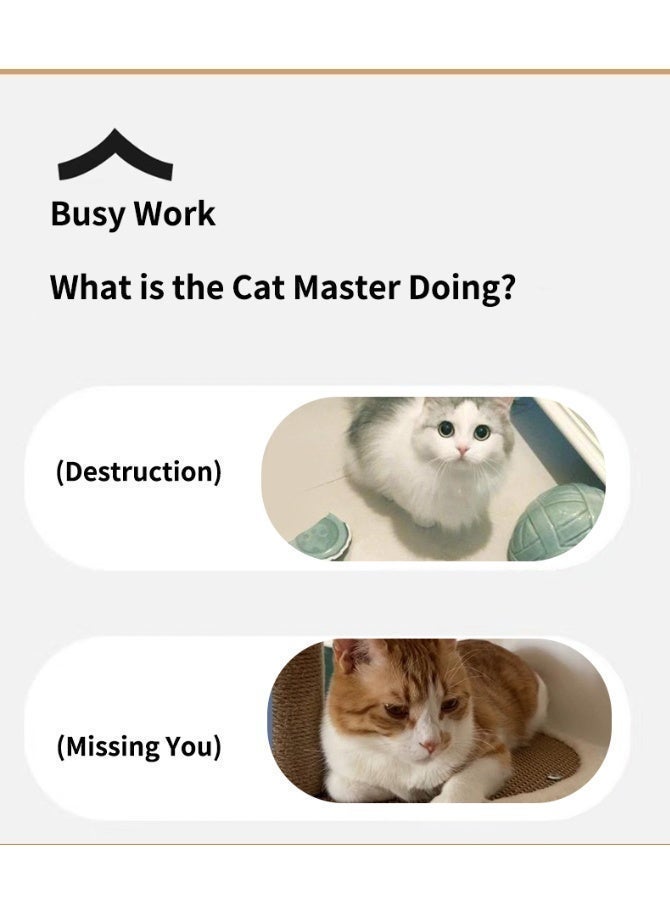 ريتش لايف لعبة كرة القط التفاعلية، لغز الكرة المتحركة الذكية الداخلية التلقائية لتخفيف الملل، لعبة حيوان أليف قابلة للشحن عبر USB - Image 5